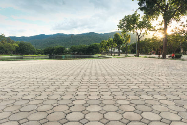 Best Residential Paver Driveway  in Belton, TX