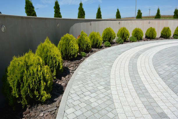 Best Local Driveway Pavers  in Belton, TX